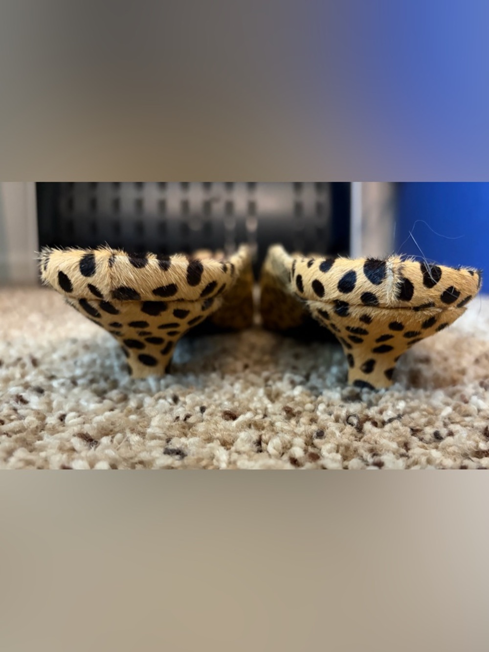 Matisse Cheetah Print Square-Toe Kitten Heel Mule - Picture 3 of 5